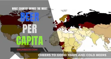 Beer-Loving Country: Who Tops the Global Per Capita List?