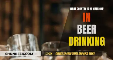 Beer-Loving Country: Who Tops the List Globally?