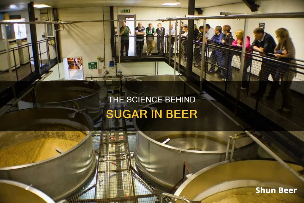 what creates sugar in beer