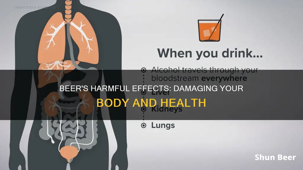 what damage does drinking beer do to your body