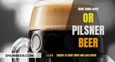 Unveiling the Secrets: Dark Lager vs. Pilsner Beer