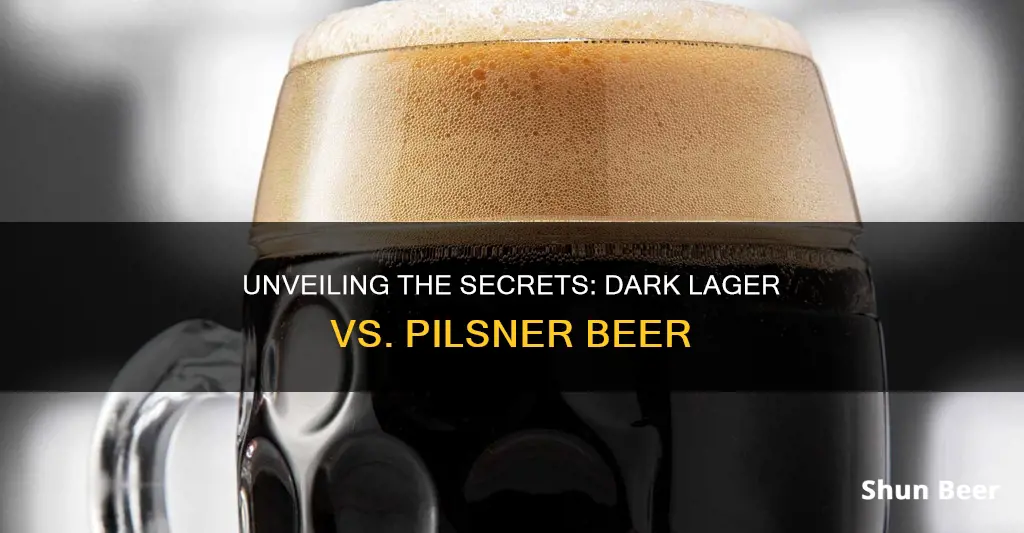 what dark lager or pilsner beer