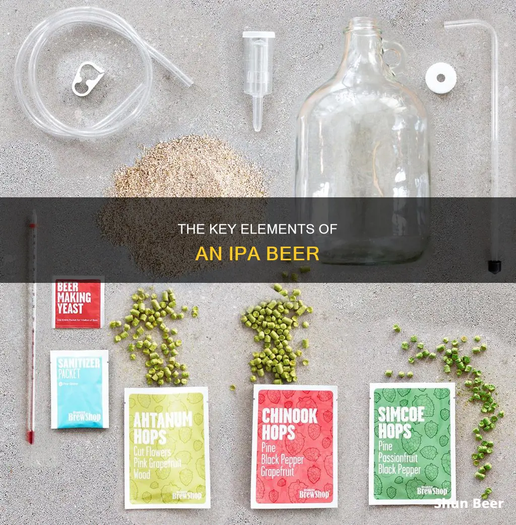 what determines an ipa beer