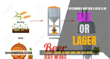 Unraveling the Mystery: Ale or Lager? The Science Behind Beer Styles