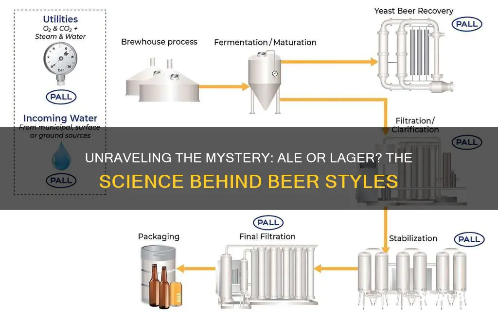 what determines whether a beer is an ale or lager