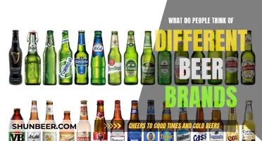 People's Perceptions of Popular Beer Brands