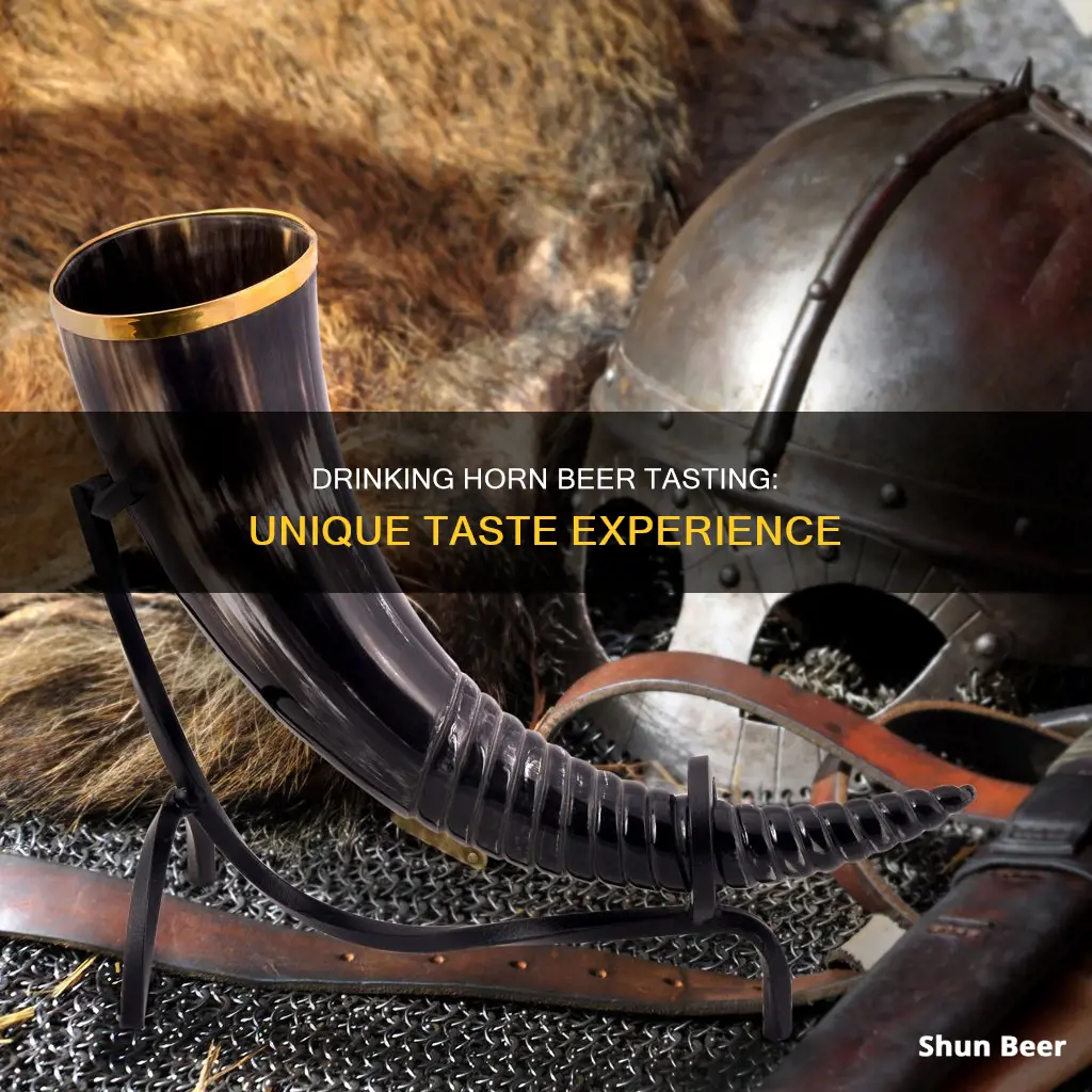 what does beer taste like in a drinking horn