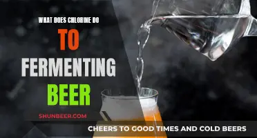 Chlorine's Impact on Beer Fermentation: Unveiling the Chemistry