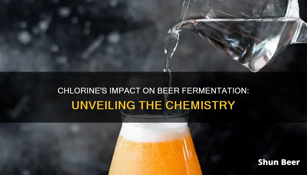 what does chlorine do to fermenting beer