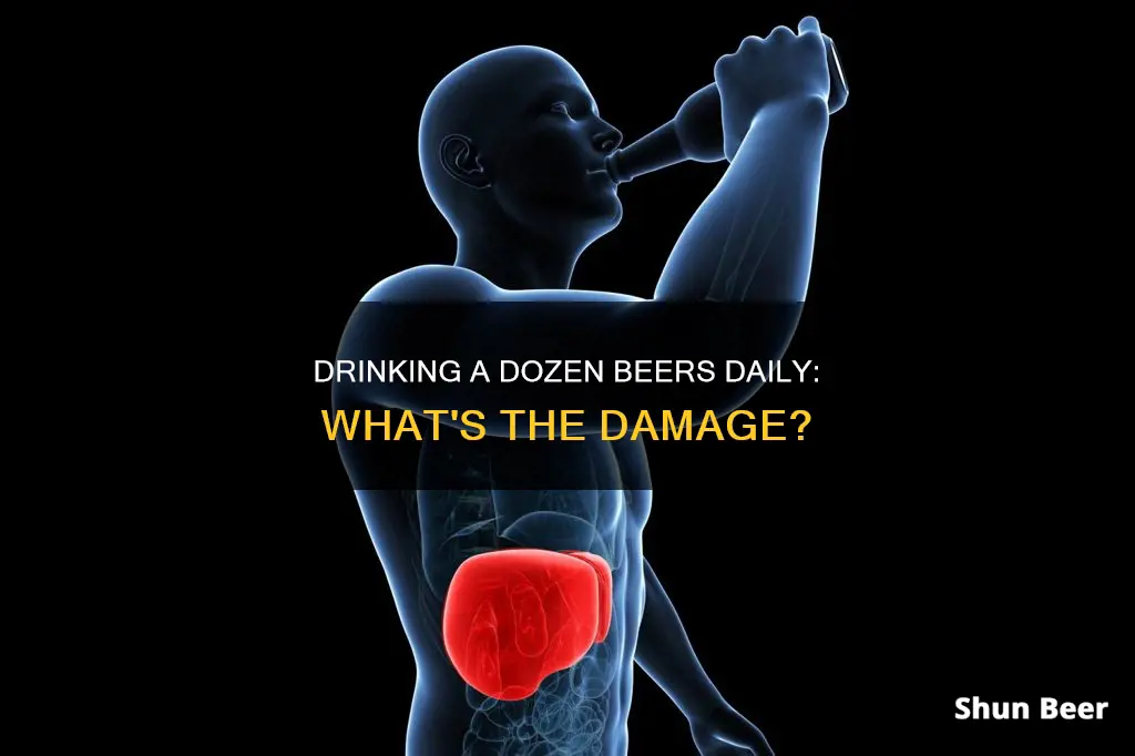 what does drinking 12 beers a day do