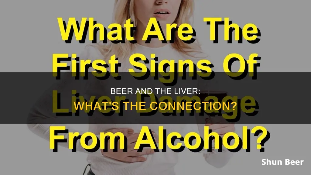 what does drinking beer do to the liver