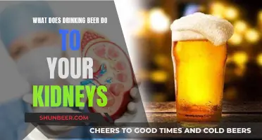 Beer and Kidney Health: What You Need to Know