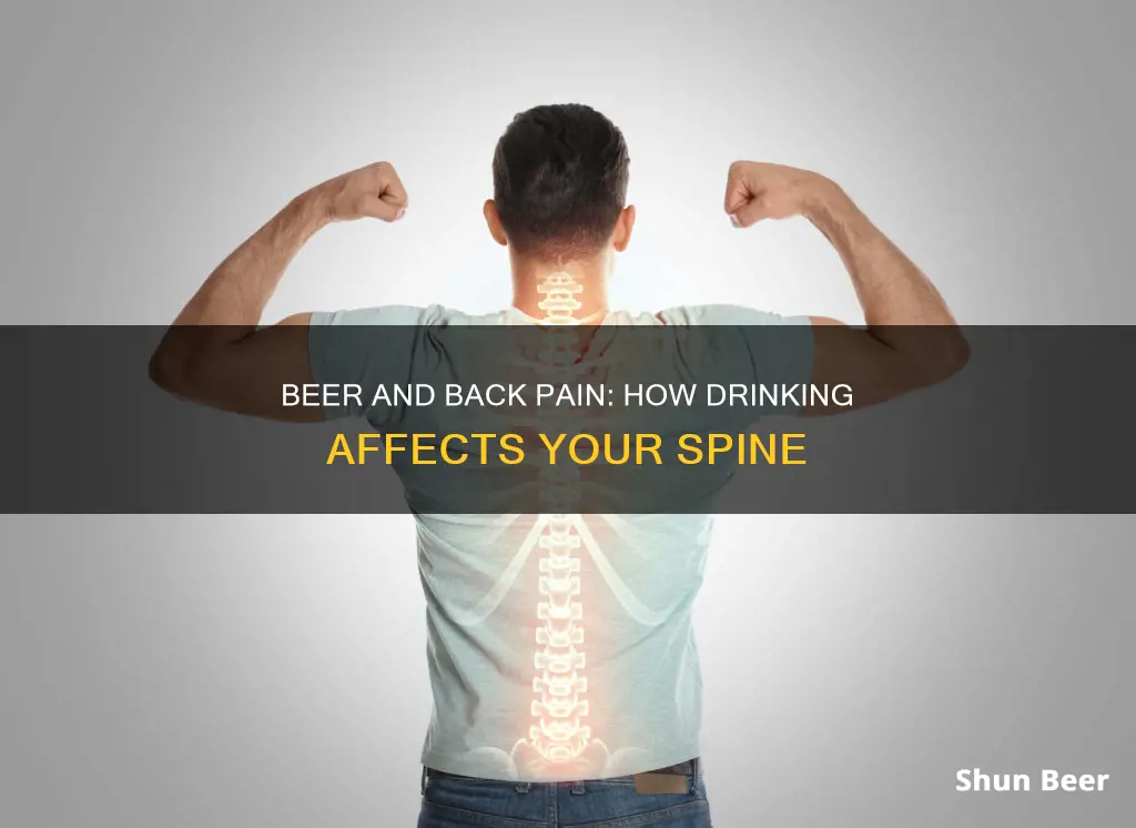 what does drinking beer do to your spine