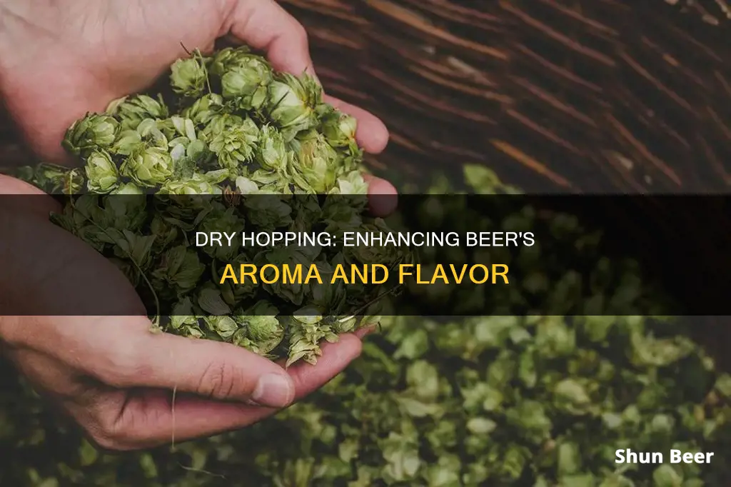 what does dry hopping do for beer