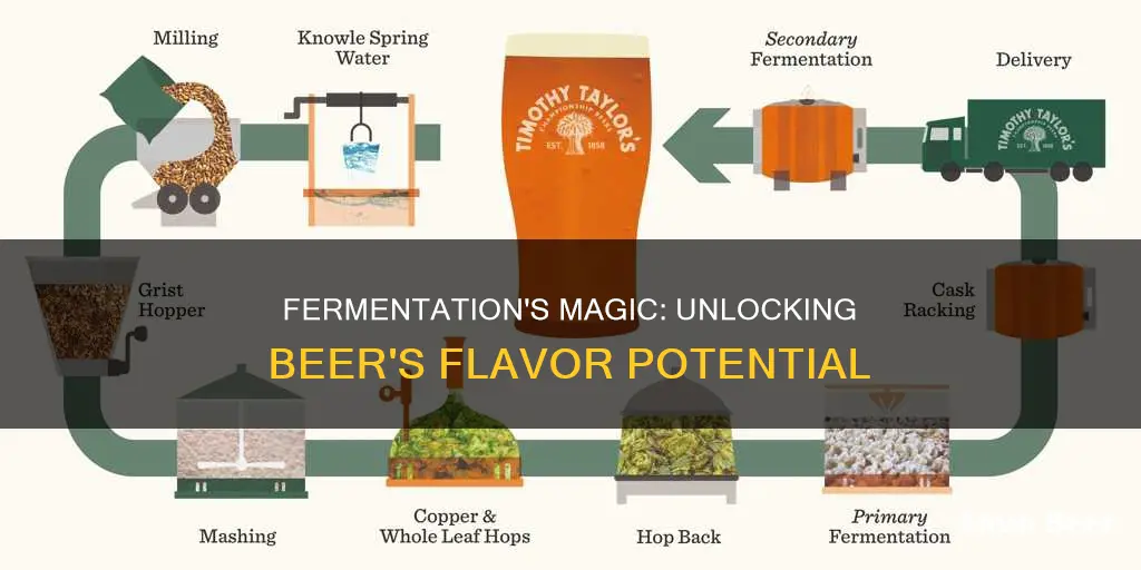 what does fermentation do to beer