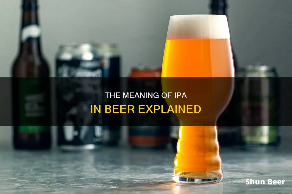 what does ipa stand for when it comes to beer