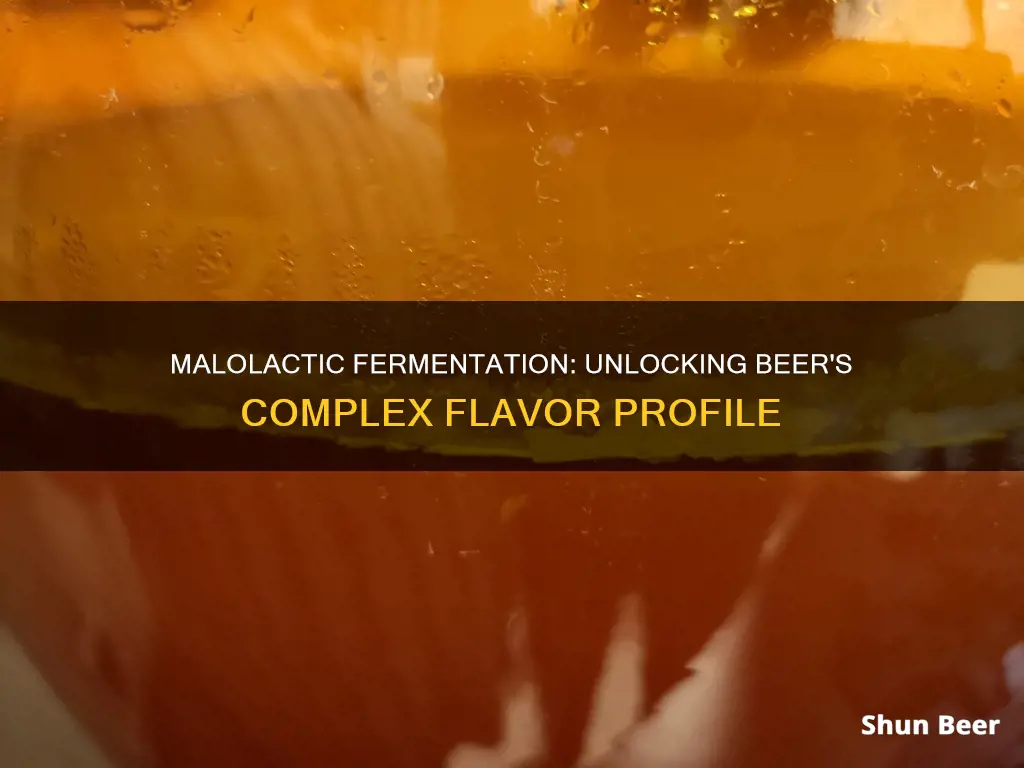 what does malolactic fermentation do to beer