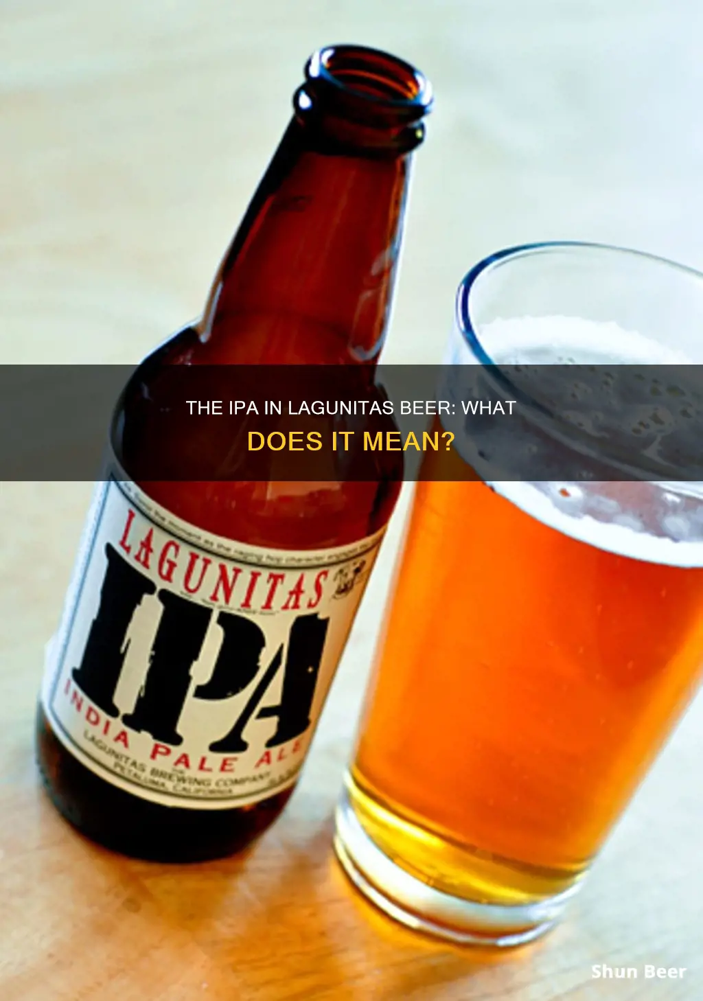 what does the ipa stnd for in laguntas beer