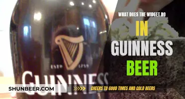 Guinness Beer Widget: What's Its Purpose?