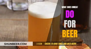 Wheat's Role in Beer: Flavor, Color, and More