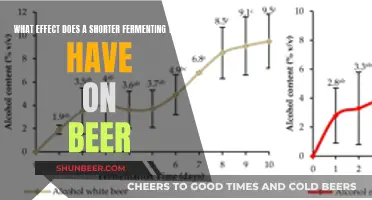 Brewing Basics: Uncovering the Impact of Fermentation Time on Beer Flavor