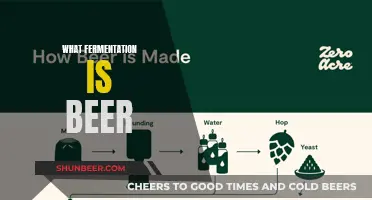 Unraveling the Magic of Fermentation: The Beer Story