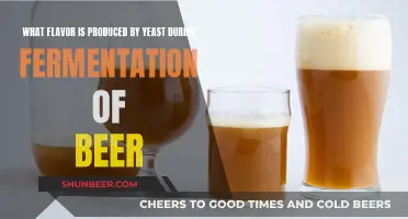 The Magic Yeast Brew: Unlocking the Flavor Secrets of Beer