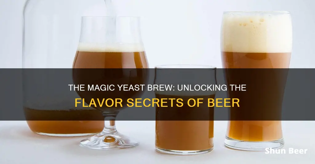 what flavor is produced by yeast during fermentation of beer