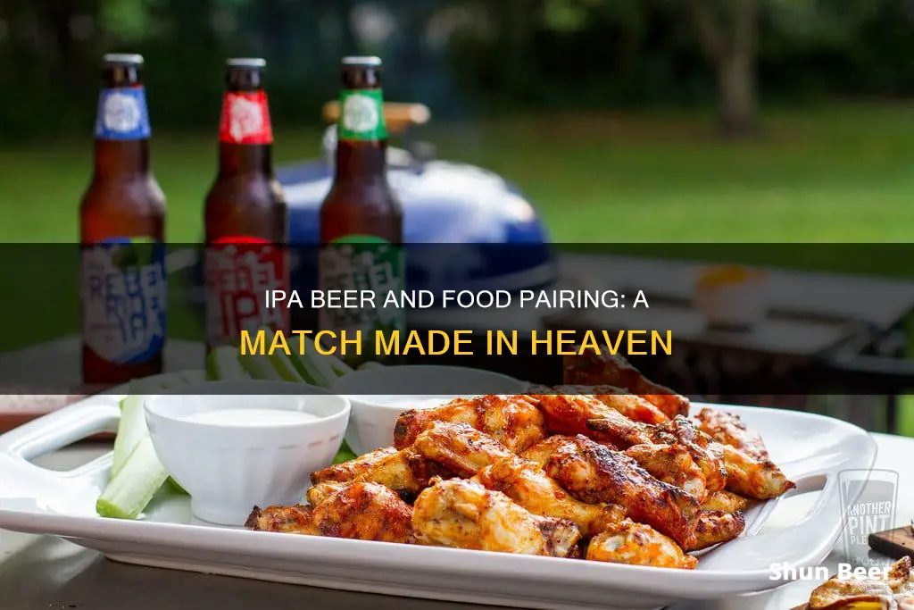 what food pairs with ipa beer