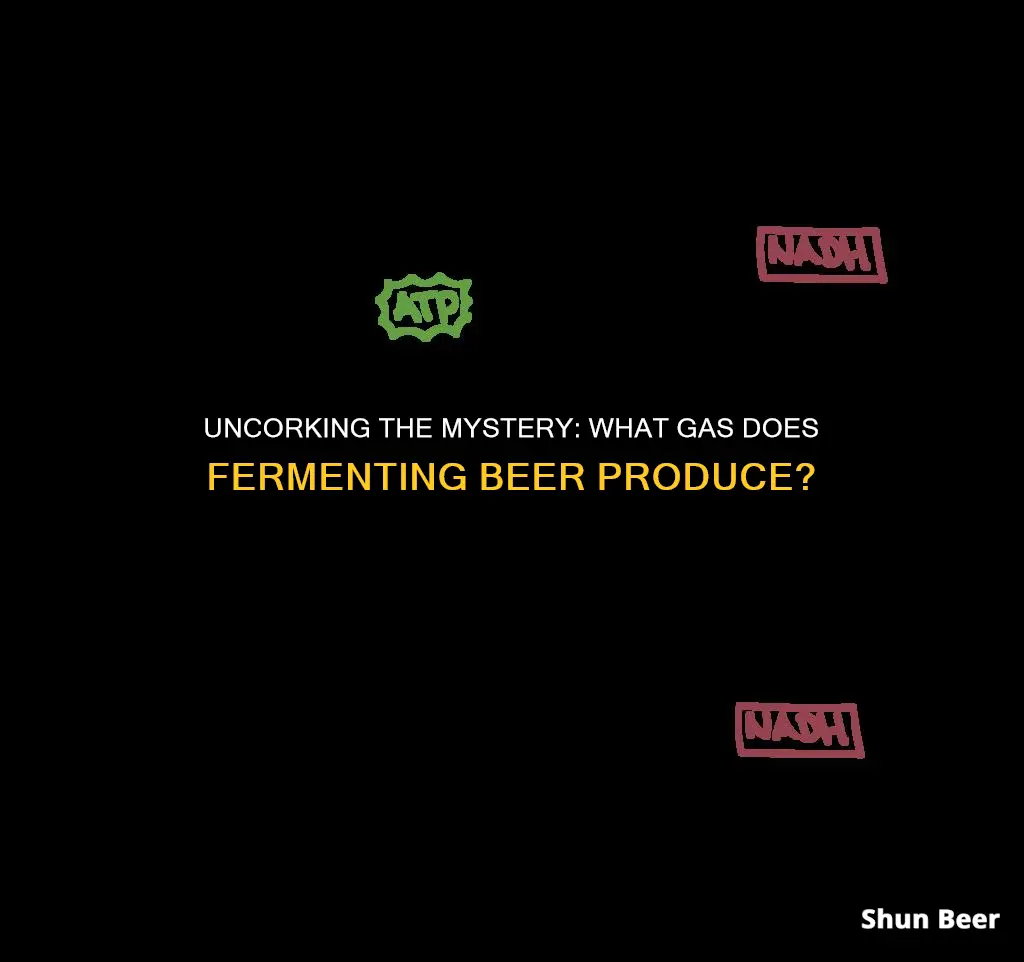 what gas does fermenting beer produce