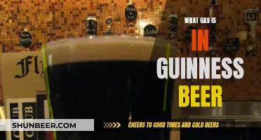 Guinness Beer: The Magic of Nitrogen and Carbon Dioxide