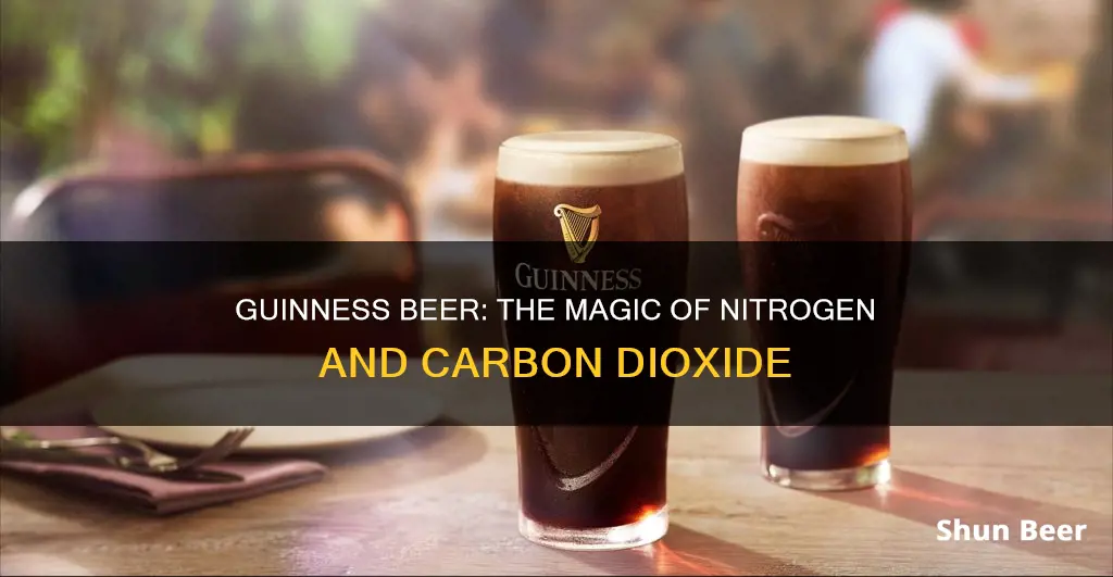 what gas is in guinness beer