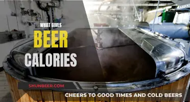 Beer Calories: The Science Behind the Energy