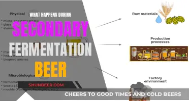 Unraveling the Magic: Exploring Secondary Fermentation's Beer Transformation