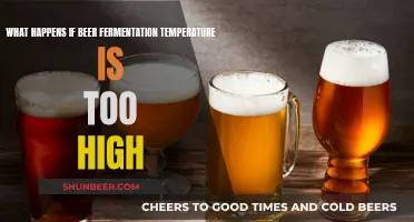 High-Temperature Fermentation: Understanding the Risks and Consequences for Beer