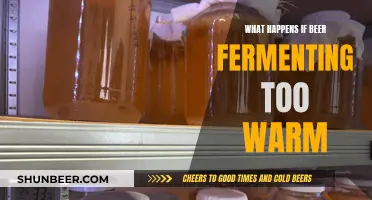 Warm Fermentation: The Risky Side of Craft Beer Brewing