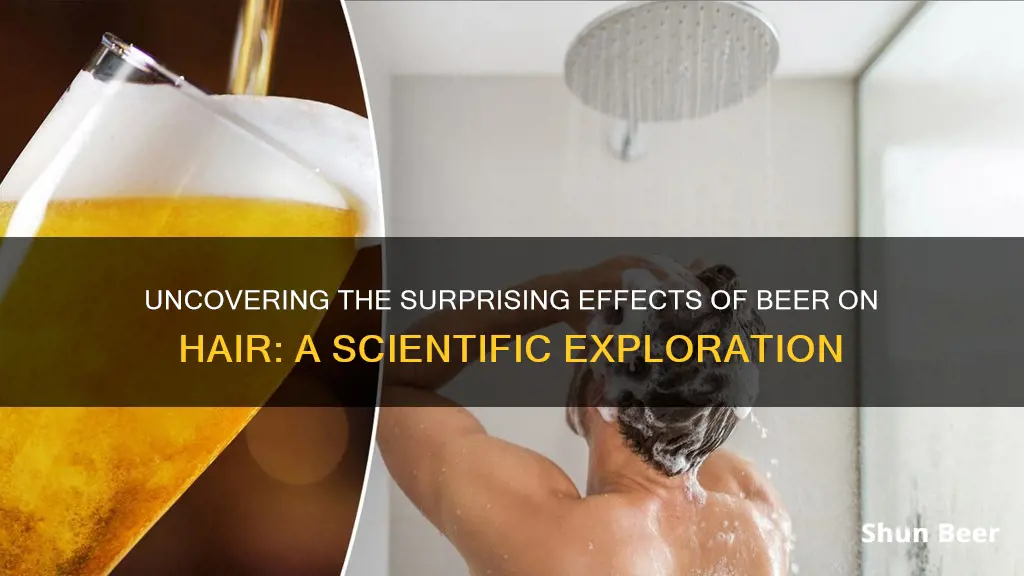 what happens if you put beer in your hair