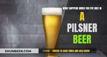 Exploring the Unexpected: Rice Meets Pilsner Beer