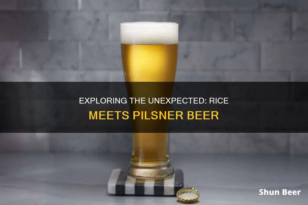 what happens when you put rice in a pilsner beer