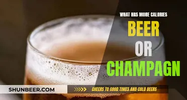 Beer vs. Champagne: Which Has More Calories?