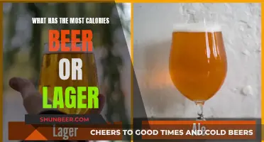 Beer vs Lager: Which Drink Packs More Calories?