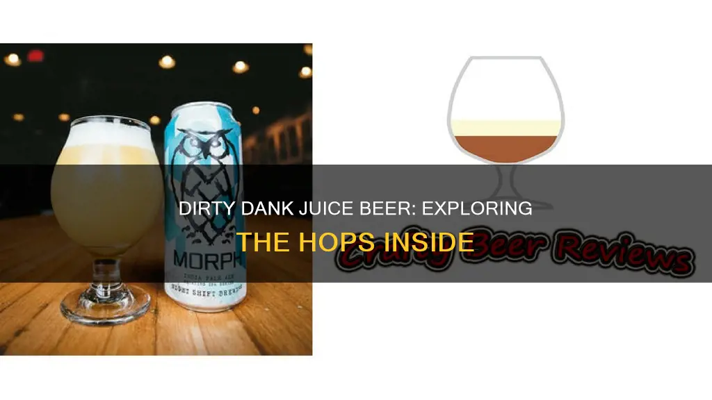 what hops are in dirty dank juice beer