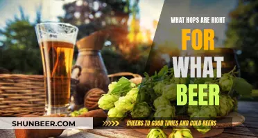 The Ultimate Guide to Choosing the Right Hops for Your Beer