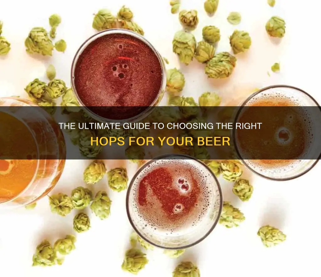 what hops are right for what beer