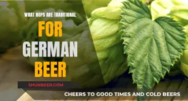 German Beer Hops: Traditional Varieties and Their Unique Flavors