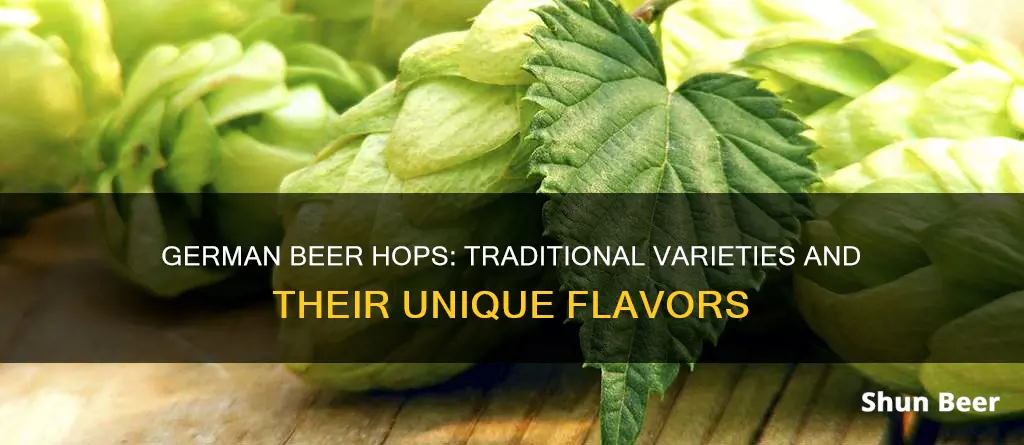 what hops are traditional for german beer