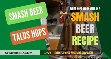 Smash Beer Recipes: Choosing the Right Hops for Your Brew