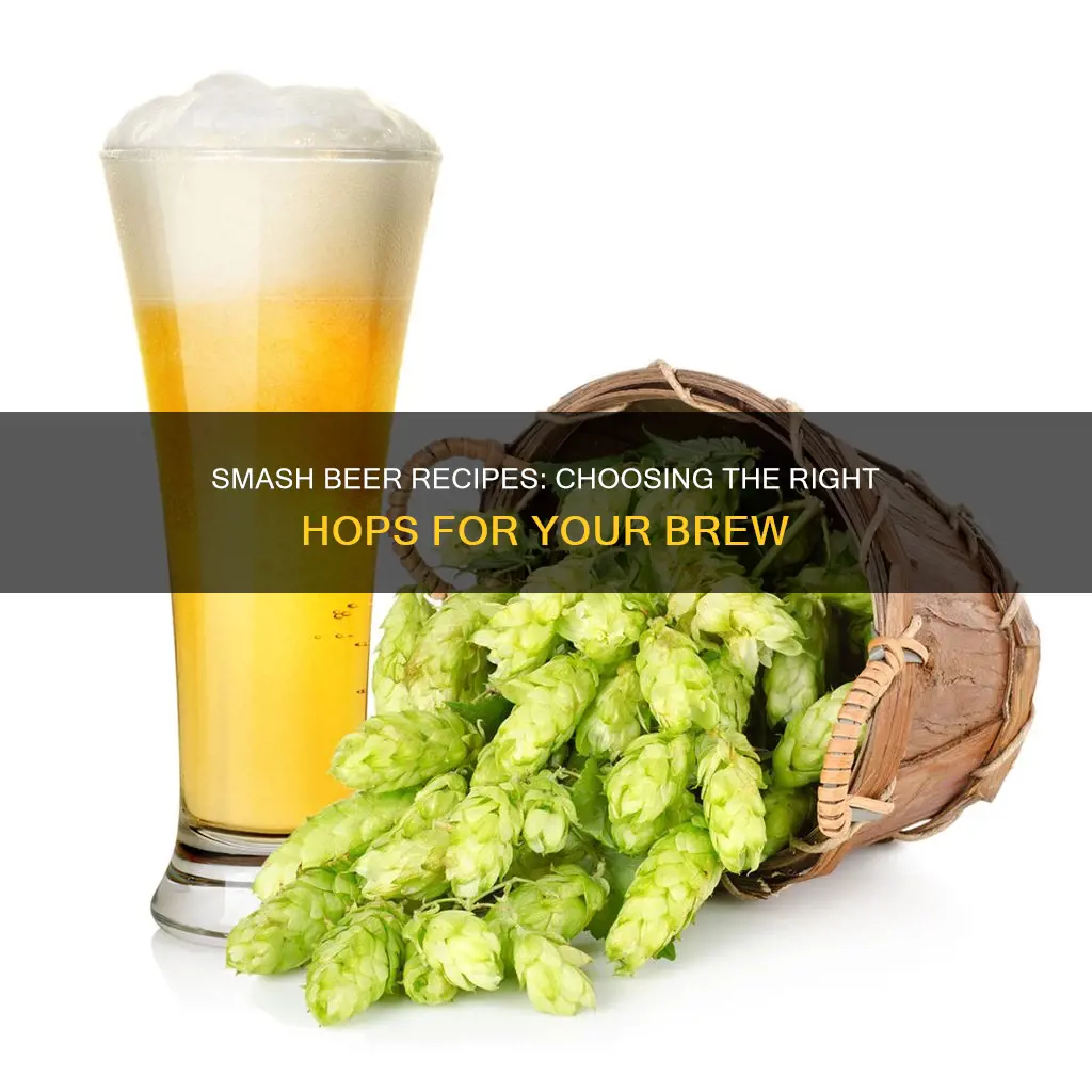 what hops work well in a smash beer recipe