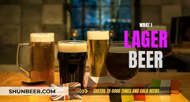 Exploring the World of Lagers: A Comprehensive Guide