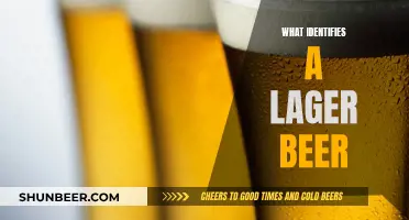 The Art of Lager: Unlocking the Secrets of Flavor and Style